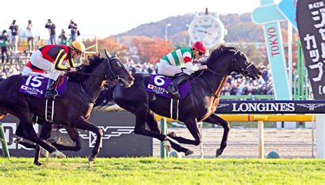 japan cup betting|2023 Japan Cup Tips, Betting Predictions & Odds.